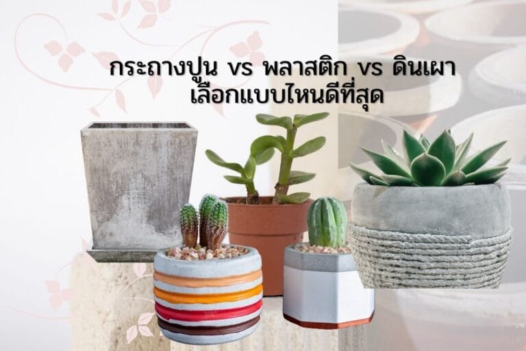 กระถางปูน vs พลาสติก vs ดินเผา เลือกแบบไหนดีที่สุดฃ 1 กระถางปูน vs พลาสติก vs ดินเผา เลือกแบบไหนดีที่สุดฃ