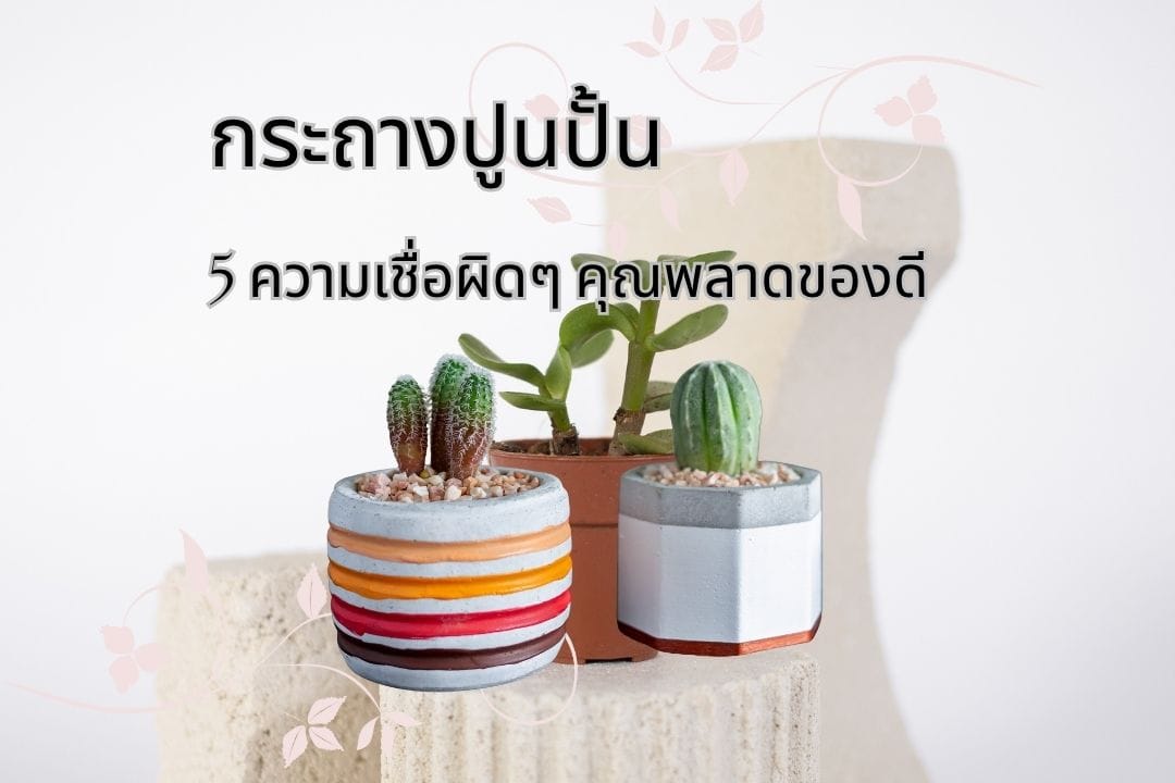 กระถางปูนปั้น: 5 ความเชื่อผิดๆ คุณพลาดของดี 1 กระถางปูนปั้น: 5 ความเชื่อผิดๆ คุณพลาดของดี